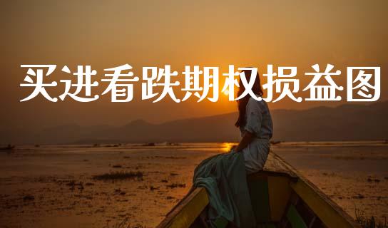 买进看跌期权损益图_https://www.qdlswl.com_内盘_第1张