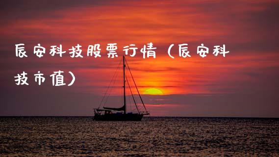 辰安科技股票行情（辰安科技市值）_https://www.qdlswl.com_内盘_第1张