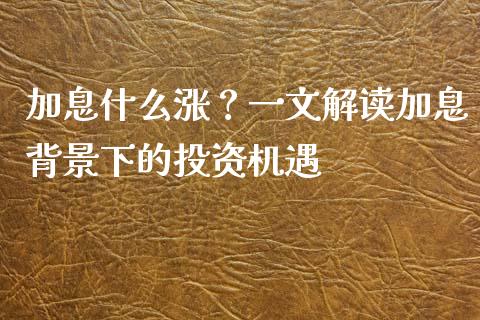 加息什么涨？一文解读加息背景下的投资机遇_https://www.qdlswl.com_理财_第1张
