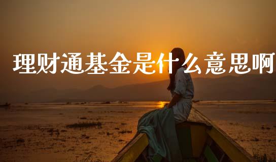 理财通基金是什么意思啊_https://www.qdlswl.com_理财_第1张