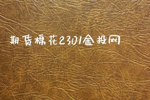 期货棉花2301金投网_https://www.qdlswl.com_股指_第1张