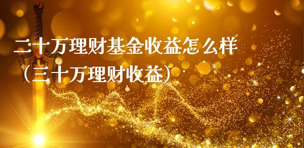 二十万理财基金收益怎么样（三十万理财收益）_https://www.qdlswl.com_理财_第1张