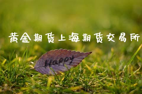 黄金期货上海期货交易所_https://www.qdlswl.com_股指_第1张