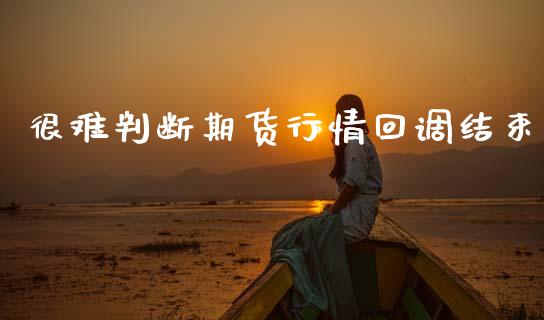 很难判断期货行情回调结束_https://www.qdlswl.com_股指_第1张