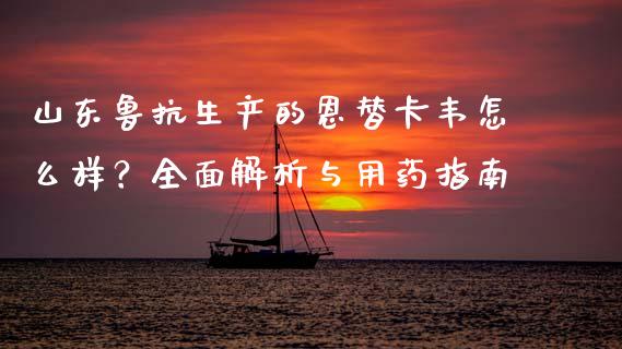 山东鲁抗生产的恩替卡韦怎么样？全面解析与用药指南_https://www.qdlswl.com_内盘_第1张