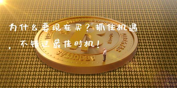为什么要现在买？抓住机遇，不错过最佳时机！_https://www.qdlswl.com_股票_第1张