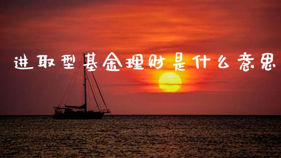 进取型基金理财是什么意思_https://www.qdlswl.com_基金_第1张