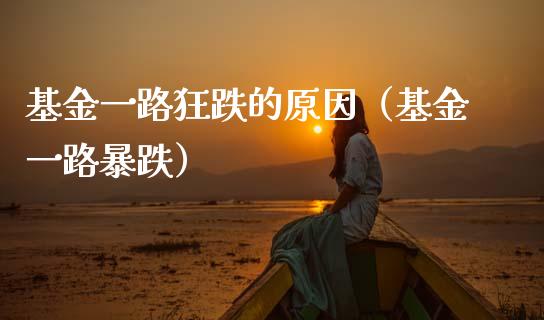 基金一路狂跌的原因（基金一路暴跌）_https://www.qdlswl.com_理财_第1张