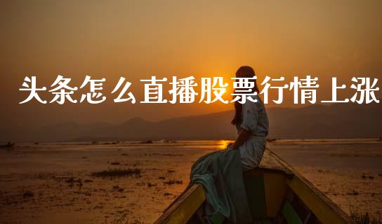 头条怎么直播股票行情上涨_https://www.qdlswl.com_内盘_第1张