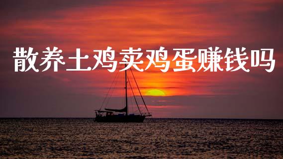 散养土鸡卖鸡蛋赚钱吗_https://www.qdlswl.com_股指_第1张