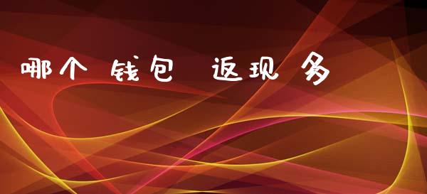 哪个 钱包  返现 多_https://www.qdlswl.com_外盘_第1张