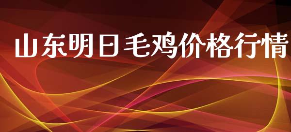 山东明日毛鸡价格行情_https://www.qdlswl.com_股指_第1张