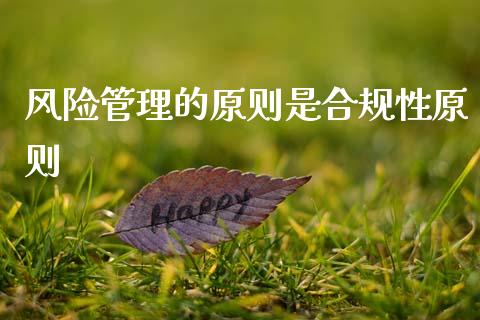 风险管理的原则是合规性原则_https://www.qdlswl.com_期货_第1张