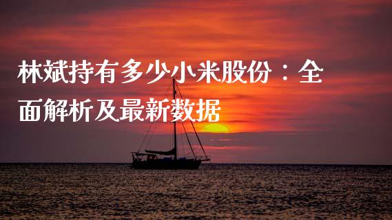 林斌持有多少小米股份：全面解析及最新数据_https://www.qdlswl.com_直播_第1张