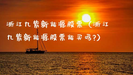 浙江九紫新能源股票（浙江九紫新能源股票能买吗?）_https://www.qdlswl.com_内盘_第1张