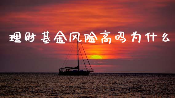 理财基金风险高吗为什么_https://www.qdlswl.com_基金_第1张