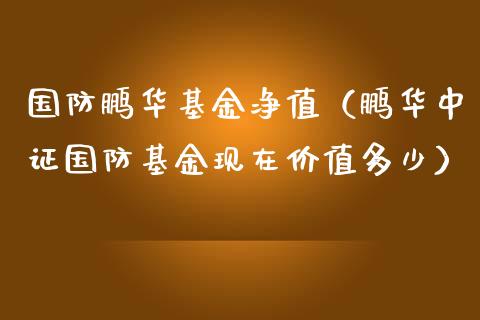 国防鹏华基金净值（鹏华中证国防基金现在价值多少）_https://www.qdlswl.com_基金_第1张
