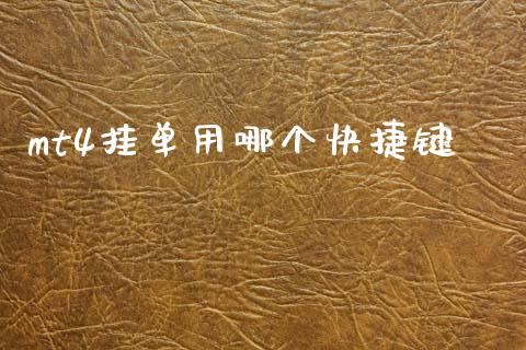 mt4挂单用哪个快捷键_https://www.qdlswl.com_基金_第1张