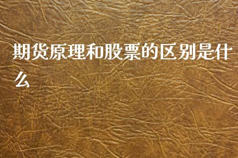 期货原理和股票的区别是什么_https://www.qdlswl.com_期货_第1张