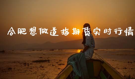 合肥想做道指期货实时行情_https://www.qdlswl.com_股指_第1张
