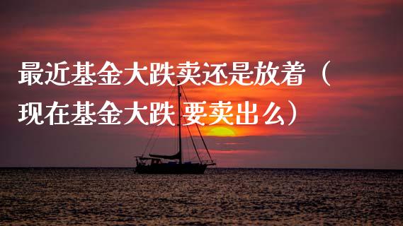最近基金大跌卖还是放着（现在基金大跌 要卖出么）_https://www.qdlswl.com_理财_第1张