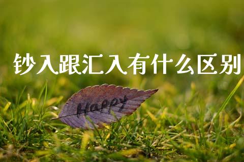钞入跟汇入有什么区别_https://www.qdlswl.com_理财_第1张