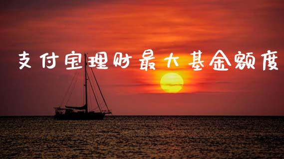 支付宝理财最大基金额度_https://www.qdlswl.com_理财_第1张