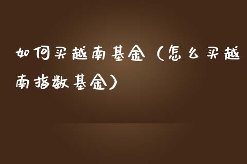 如何买越南基金（怎么买越南指数基金）_https://www.qdlswl.com_基金_第1张