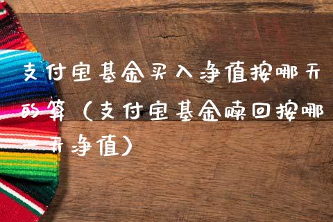 支付宝基金买入净值按哪天的算（支付宝基金赎回按哪一天净值）_https://www.qdlswl.com_基金_第1张