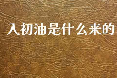 入初油是什么来的_https://www.qdlswl.com_理财_第1张