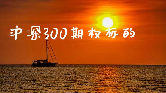 沪深300期权标的_https://www.qdlswl.com_股指_第1张