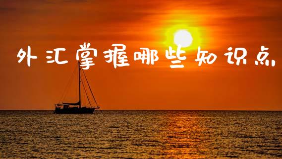 外汇掌握哪些知识点_https://www.qdlswl.com_内盘_第1张