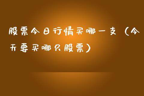 股票今日行情买哪一支（今天要买哪只股票）_https://www.qdlswl.com_外盘_第1张