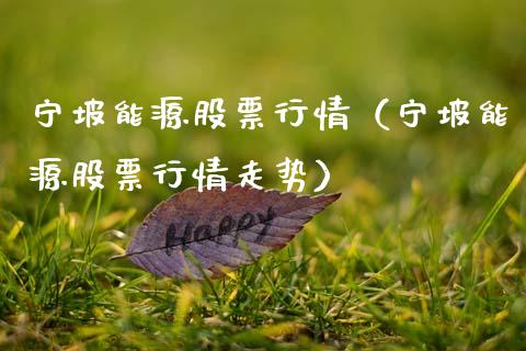 宁坡能源股票行情（宁坡能源股票行情走势）_https://www.qdlswl.com_内盘_第1张