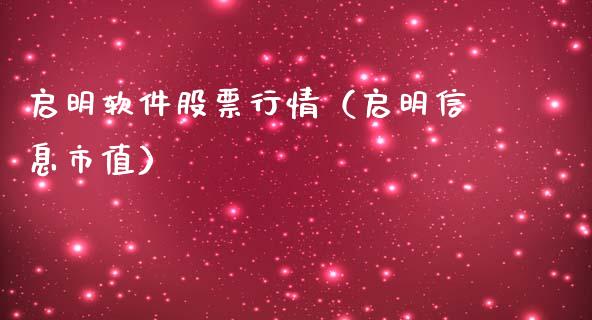 启明软件股票行情（启明信息市值）_https://www.qdlswl.com_外盘_第1张