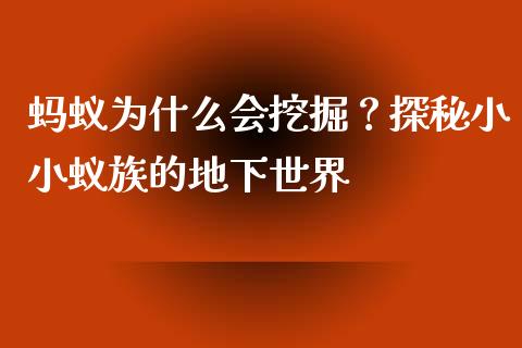 蚂蚁为什么会挖掘？探秘小小蚁族的地下世界_https://www.qdlswl.com_直播_第1张