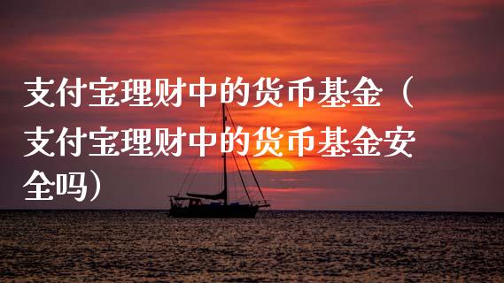 支付宝理财中的货币基金（支付宝理财中的货币基金安全吗）_https://www.qdlswl.com_理财_第1张