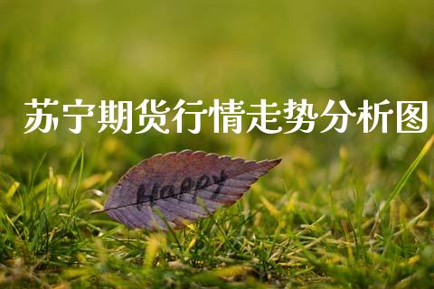 苏宁期货行情走势分析图_https://www.qdlswl.com_股指_第1张