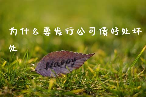 为什么要发行公司债好处坏处_https://www.qdlswl.com_外盘_第1张