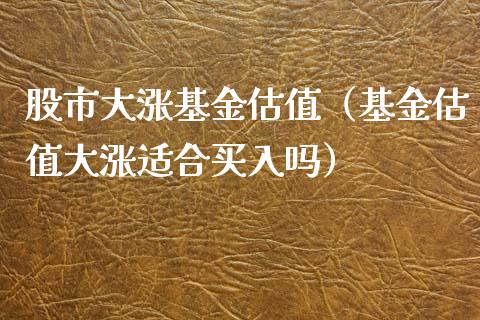 股市大涨基金估值（基金估值大涨适合买入吗）_https://www.qdlswl.com_基金_第1张