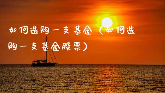 如何选购一支基金（如何选购一支基金股票）_https://www.qdlswl.com_理财_第1张