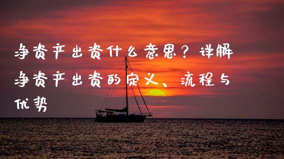 净资产出资什么意思？详解净资产出资的定义、流程与优势_https://www.qdlswl.com_直播_第1张