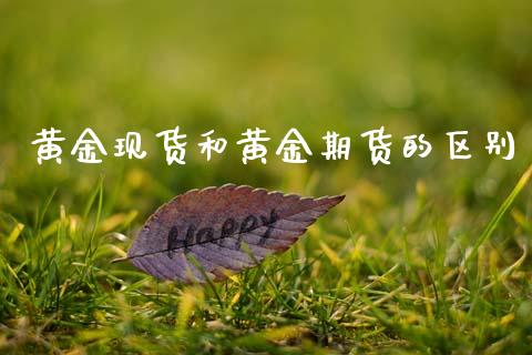 黄金现货和黄金期货的区别_https://www.qdlswl.com_股指_第1张