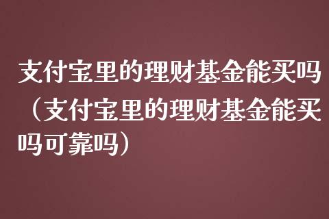 支付宝里的理财基金能买吗（支付宝里的理财基金能买吗可靠吗）_https://www.qdlswl.com_基金_第1张