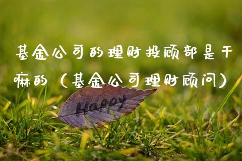 基金公司的理财投顾部是干嘛的（基金公司理财顾问）_https://www.qdlswl.com_理财_第1张