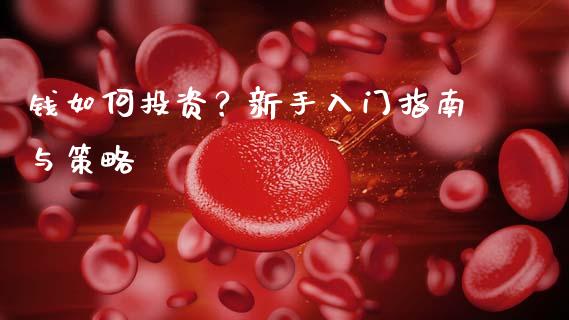 钱如何投资？新手入门指南与策略_https://www.qdlswl.com_基金_第1张