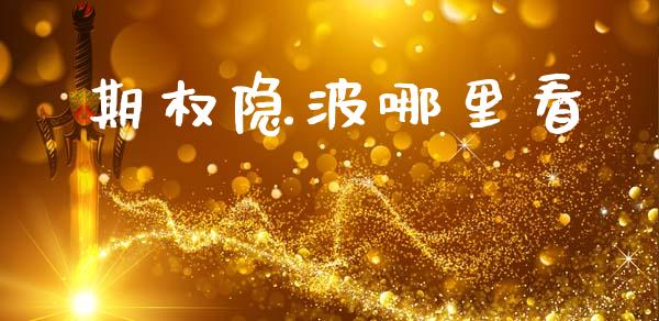 期权隐波哪里看_https://www.qdlswl.com_期货_第1张