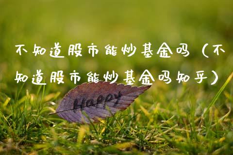不知道股市能炒基金吗（不知道股市能炒基金吗知乎）_https://www.qdlswl.com_基金_第1张