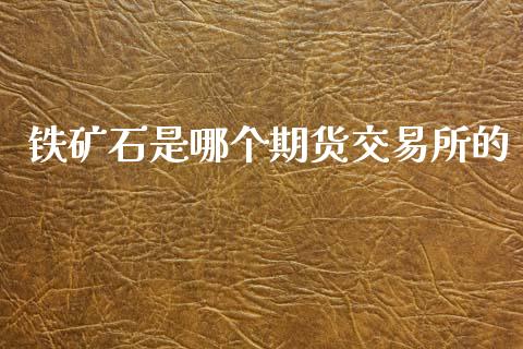 铁矿石是哪个期货交易所的_https://www.qdlswl.com_内盘_第1张