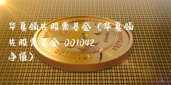 华夏领先股票基金（华夏领先股票基金 001042净值）_https://www.qdlswl.com_外盘_第1张